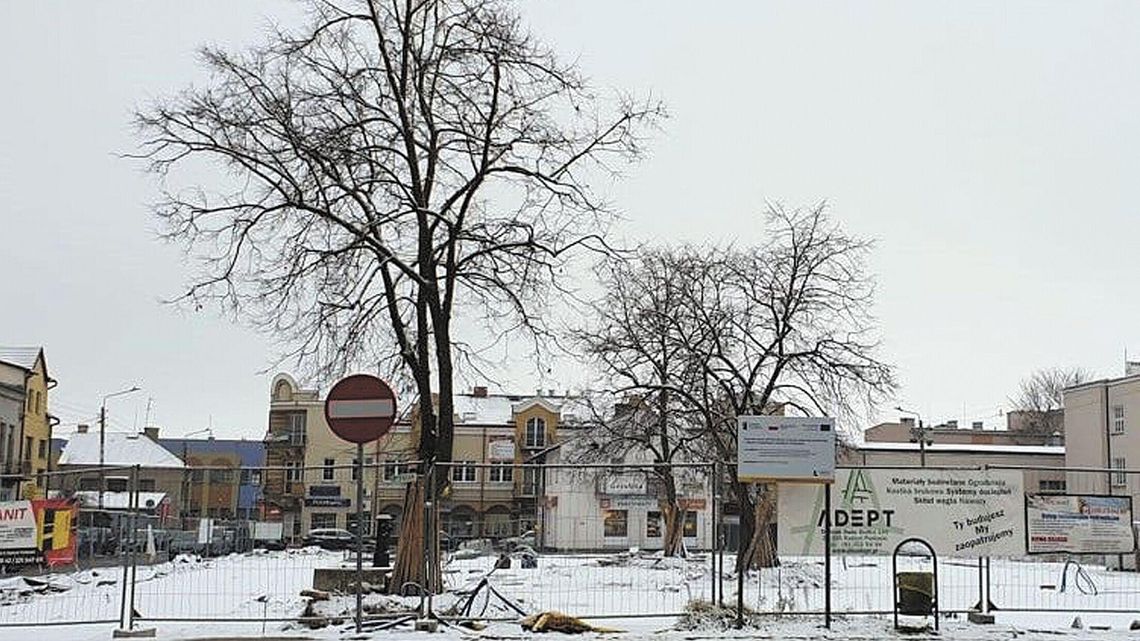 Wycięli stare drzewa, a obrońcom mówili, że projektu nie można zmieniać. A jednak można