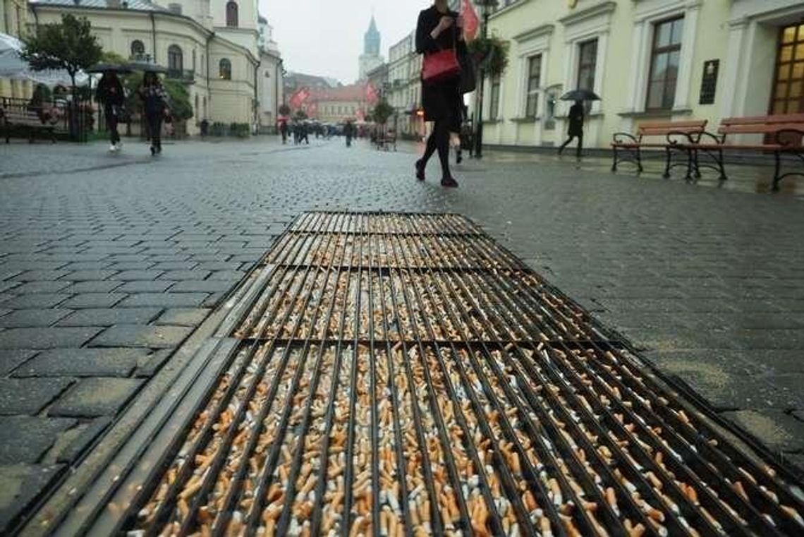 Wycieraczka z petami na deptaku, dziwna szklarnia koło CK. 16 nietypowych instalacji w Lublinie