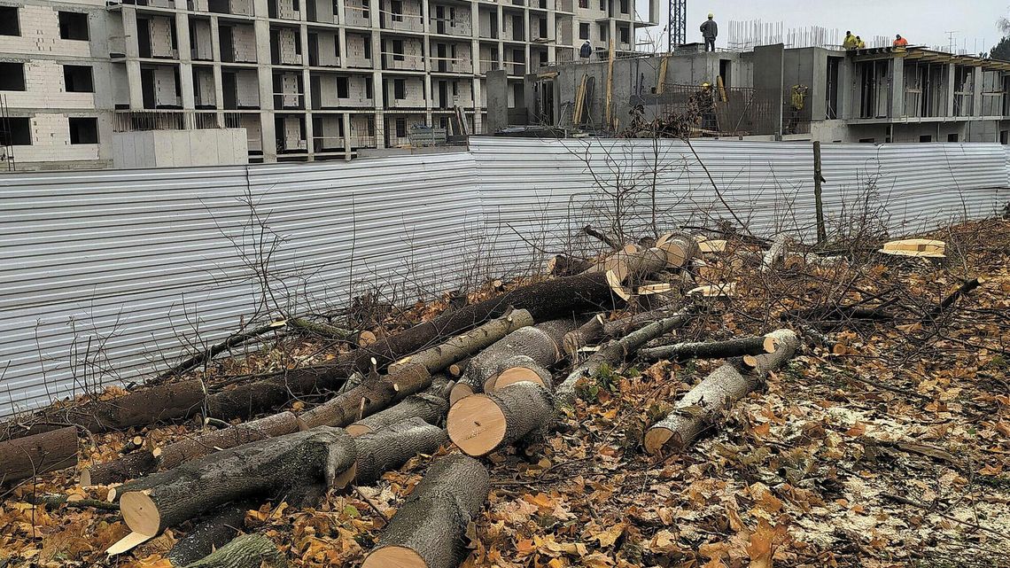 Wycinka przy Jutrzenki. Firma, której wspólnikiem jest były przewodniczący Rady Miasta ma stawiać blok