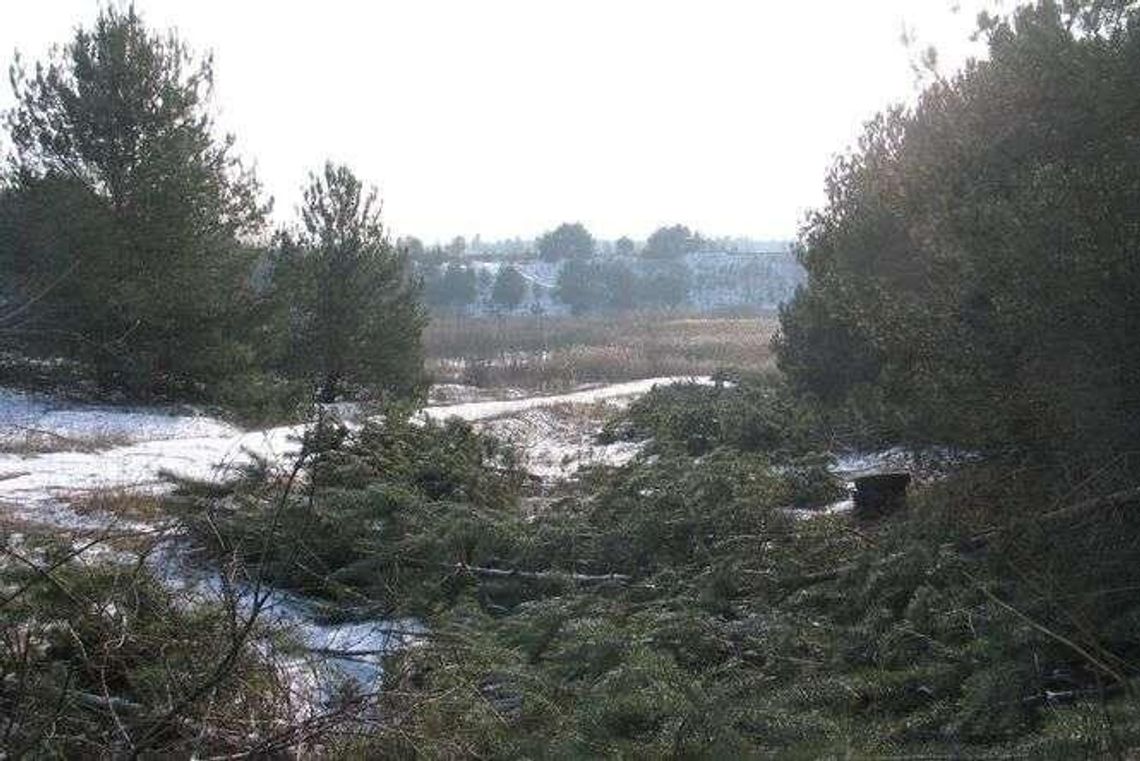 Wydał pół miliona na dawną kopalnię piachu. Liczył na zyski, a ma duży problem