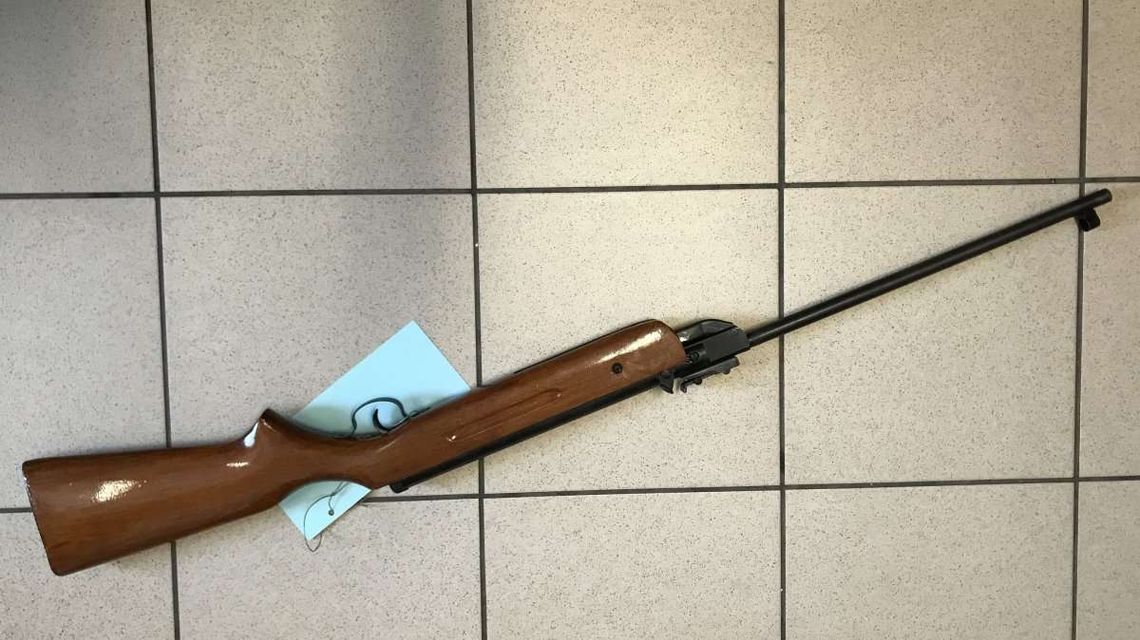 Wyjął wiatrówkę i zaczął strzelać do gołębi swojego sąsiada. Miał niecodzienne tłumaczenie Wyjął wiatrówkę i zaczął strzelać do gołębi swojego sąsiada. Miał niecodzienne tłumaczenie