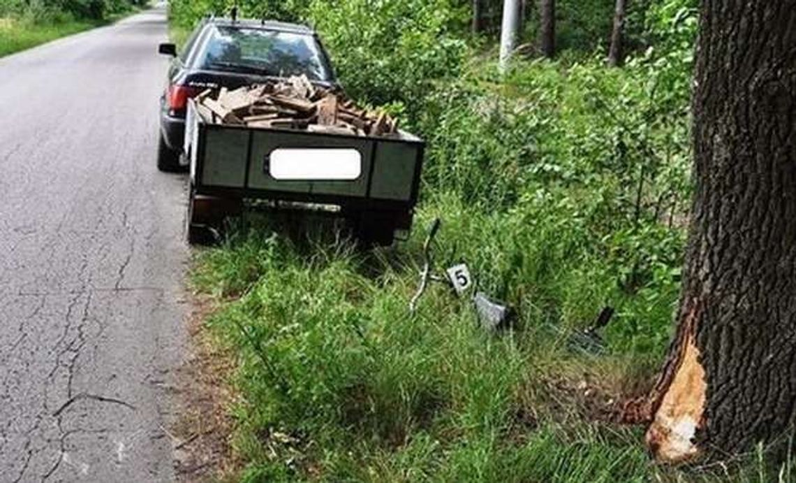 Wyjechał z leśnej drogi wprost przed samochód