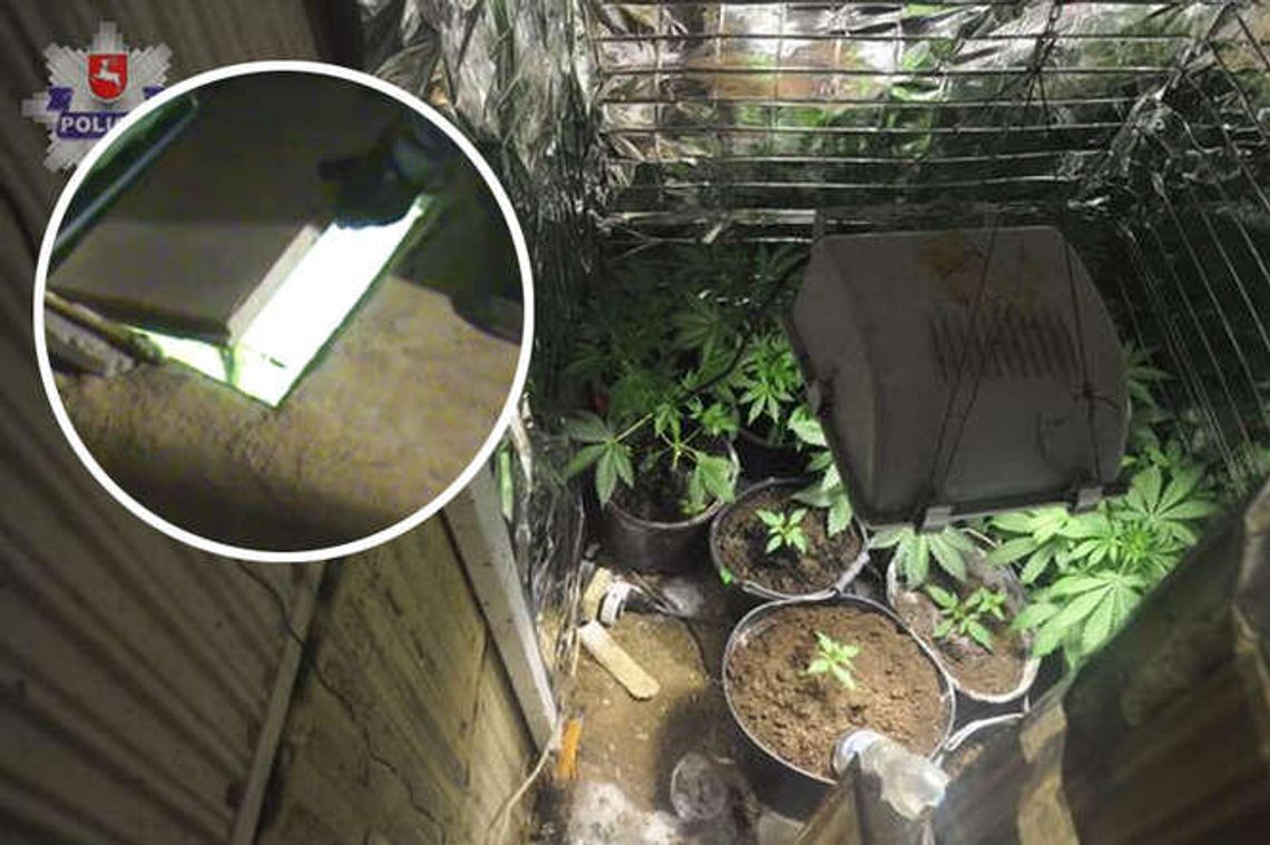 Wykopał bunkier, uprawiał w nim konopie