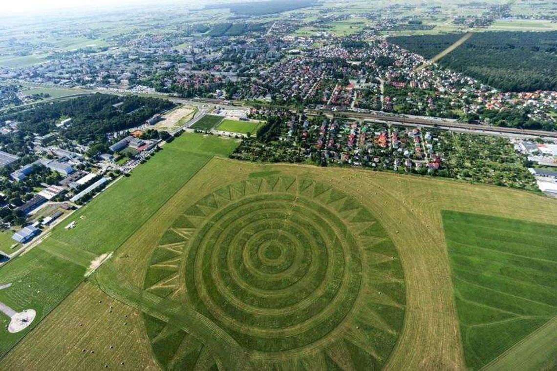 Wykosili landarty Koziary koło lotniska. Wszystko przez susły