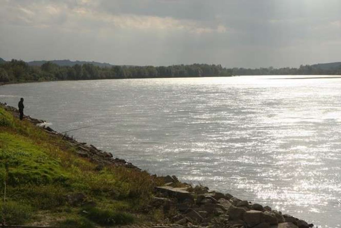 Wykoszą, odmulą i wyrównają wały na Wiśle i Kurówce