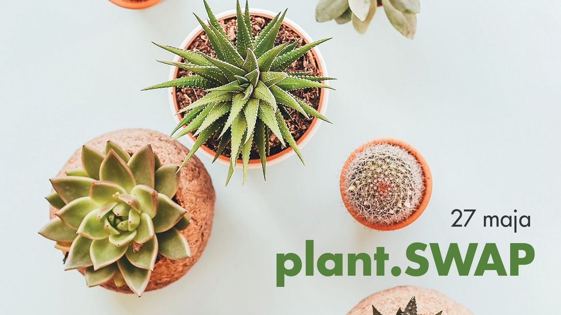 Wymiana roślin w Centrum Kultury 