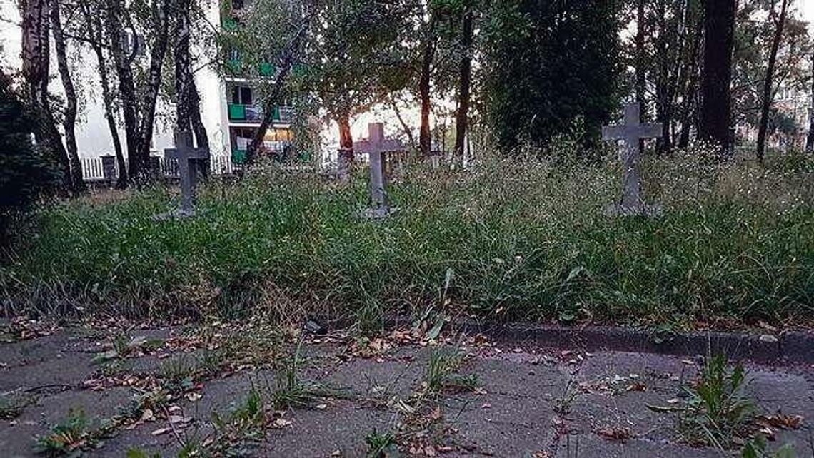 Wymienią tablicę na cmentarzu jeńców włoskich w Białej Podlaskiej