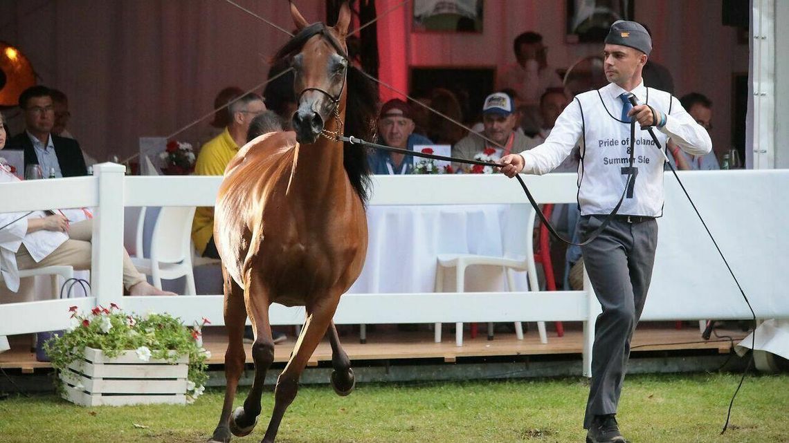 Wyniki aukcji Pride of Poland. Najwyższa cena za Esmeraldię Wyniki aukcji Pride of Poland. Najwyższa cena za Esmeraldię