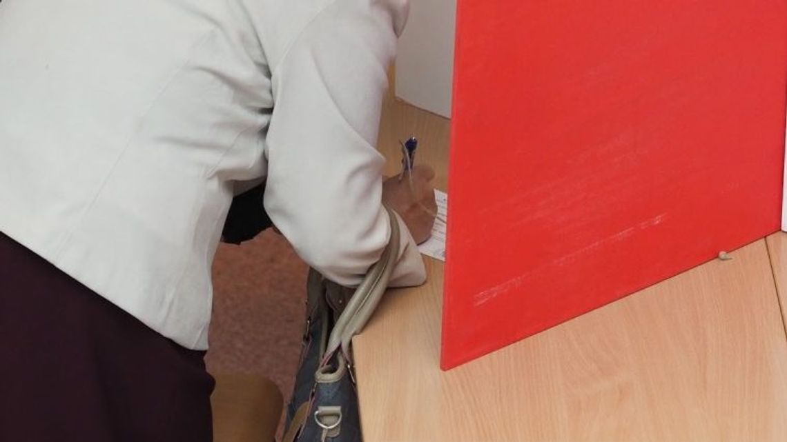 Wyniki wyborów do Europarlamentu. Tak głosowali w Rykach i powiecie ryckim