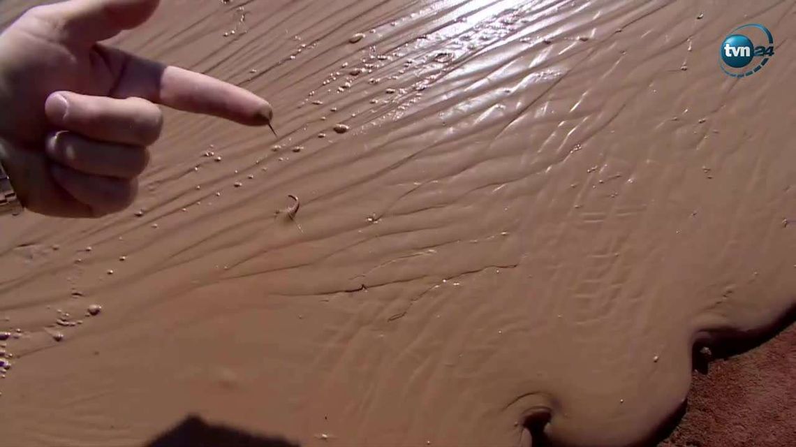 Wypadek cysterny. Na jezdnię wyciekły 24 tony czekolady [wideo]