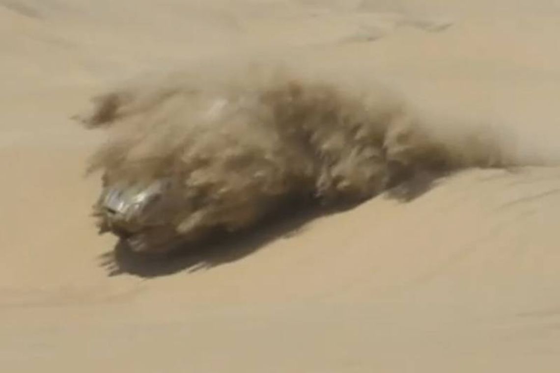 Wypadek Hołowczyca - Dakar 2013. Zobacz wideo