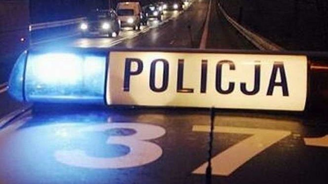 Wypadek na drodze krajowej nr 12. Samochód najechał na łosia