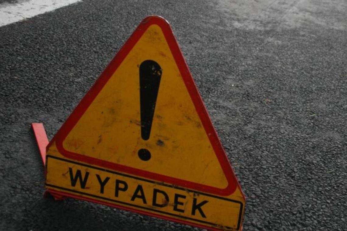 Wypadek na drodze Łęczna - Włodawa. Samochód zderzył się z sarną