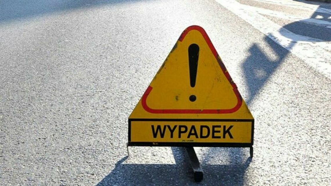 Wypadek na S17. Auto zderzyło się z łosiem Wypadek na S17. Auto zderzyło się z łosiem