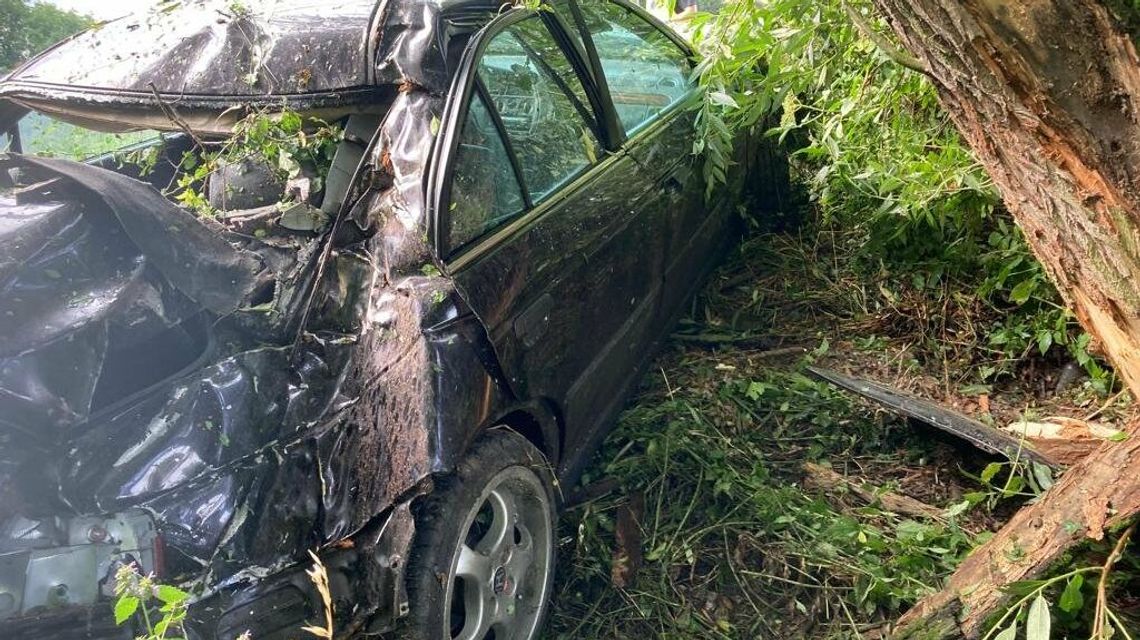 Wypadek na Turystycznej. Honda uderzyła w drzewo. Wszyscy byli pijani