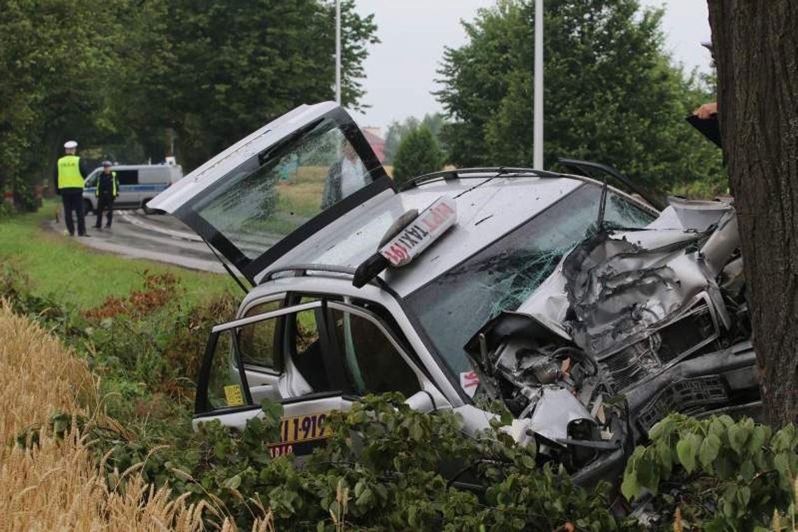 Wypadek na ul. Nałęczowskiej. Taksówka wbiła się w drzewo, zginął kierowca (wideo, zdjęcia)