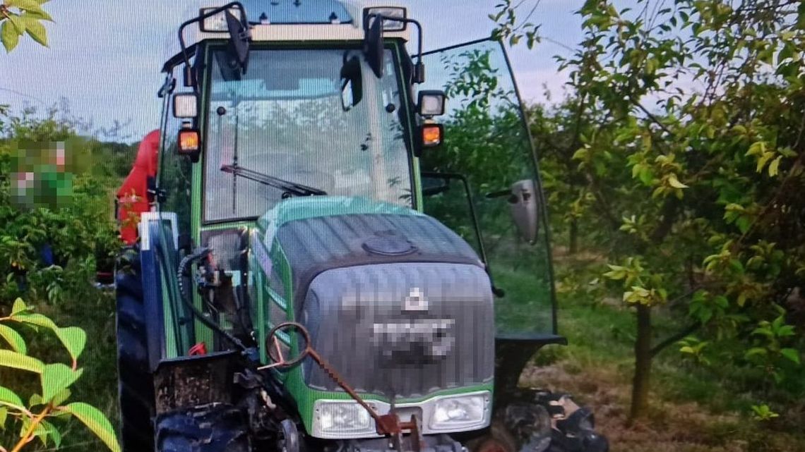 Wypadek podczas zbioru wiśni. Policja apeluje o zachowanie ostrożności i zdrowy rozsądek Wypadek podczas zbioru wiśni. Policja apeluje o zachowanie ostrożności i zdrowy rozsądek