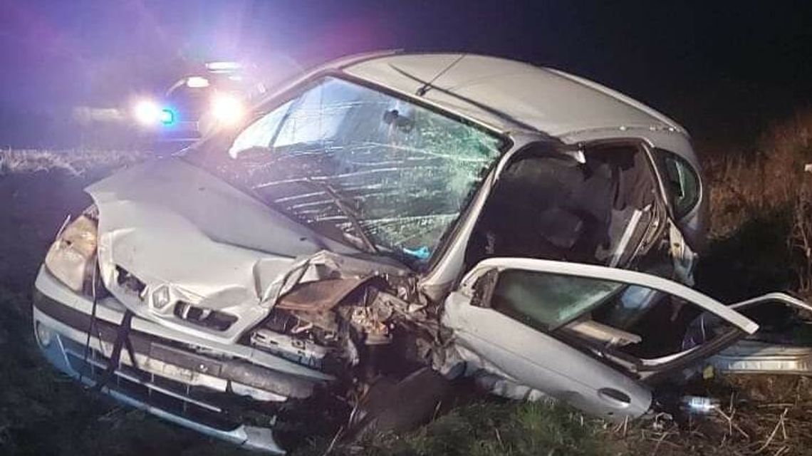 Wypadek toyoty w Dorohuczy. Łoś wybiegł na drogę Wypadek toyoty w Dorohuczy. Łoś wybiegł na drogę