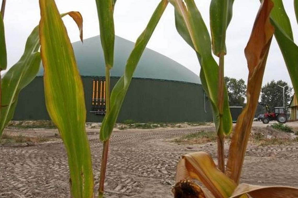 Wypadek w bioelektrowni: Dwie osoby nie żyją, prezes zatrzymany