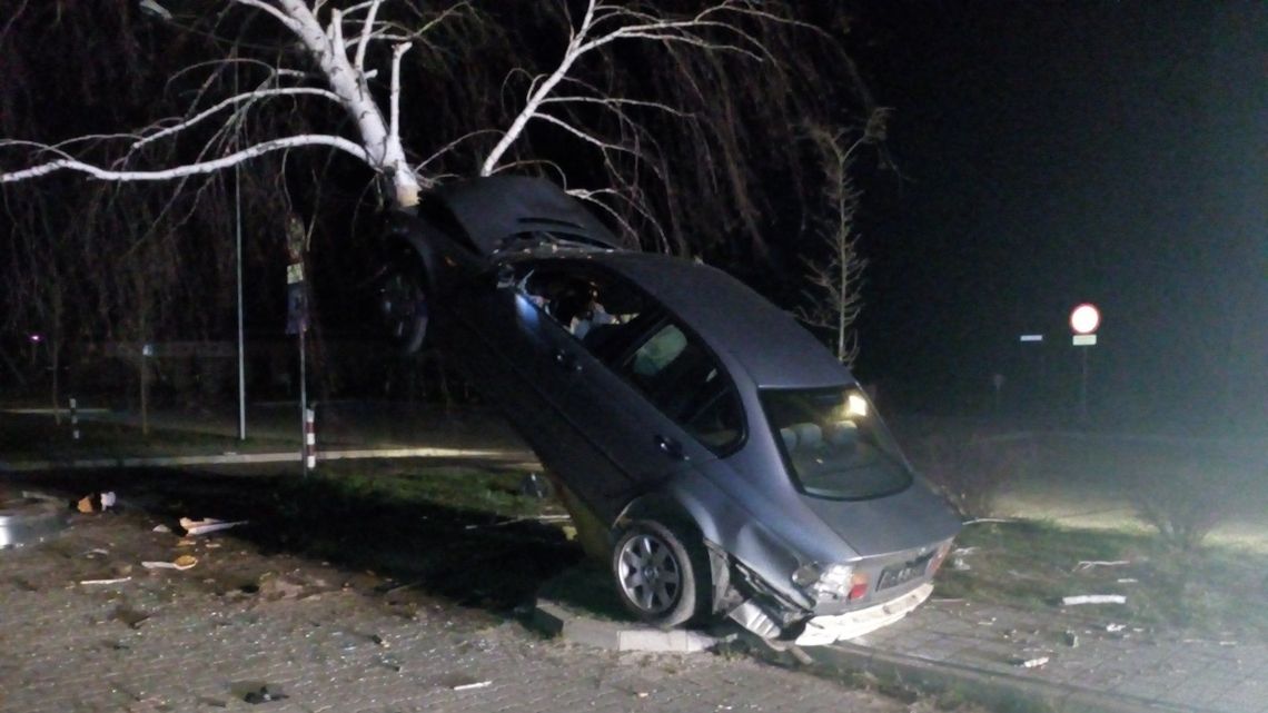 Wypadek w Janowie Lubelskim. Kierowca BMW "zaparkował" na drzewie [FOTO]