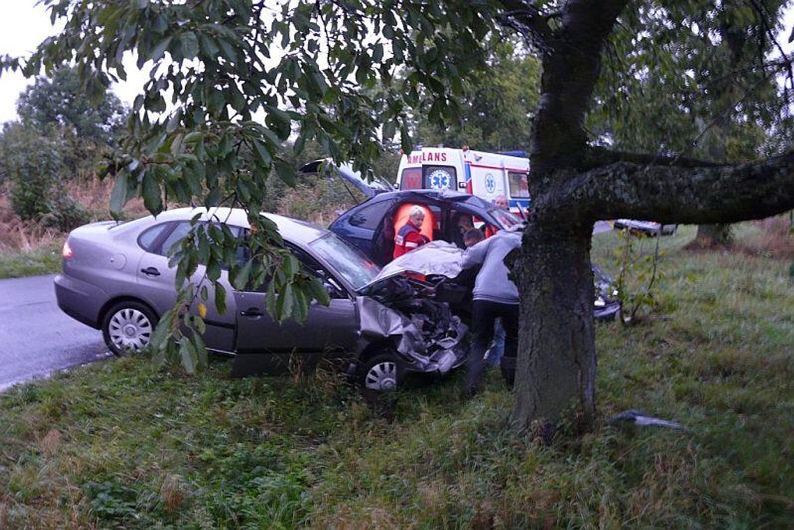 Wypadek w Kolonii Miączyn