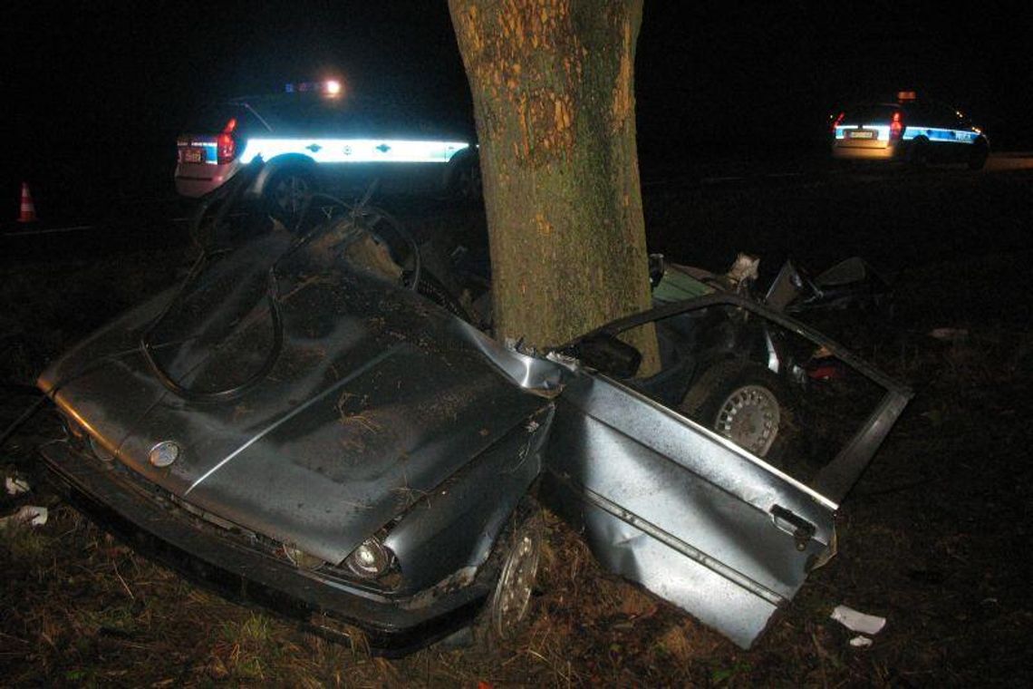 Wypadek w m. Żabce: BMW uderzyło w drzewo. 2 osoby zginęły