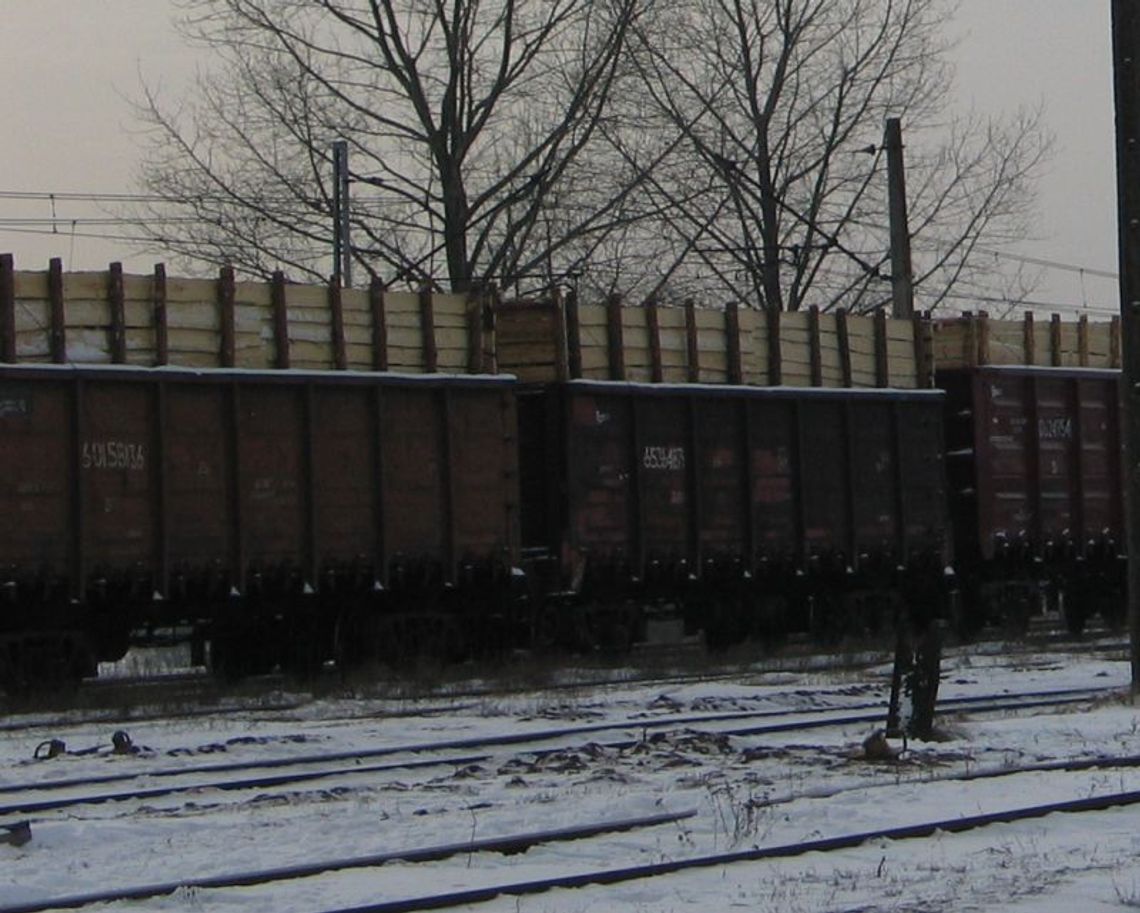 Wypadek w Małaszewiczach: Wniosek o aresztowanie operatora koparki