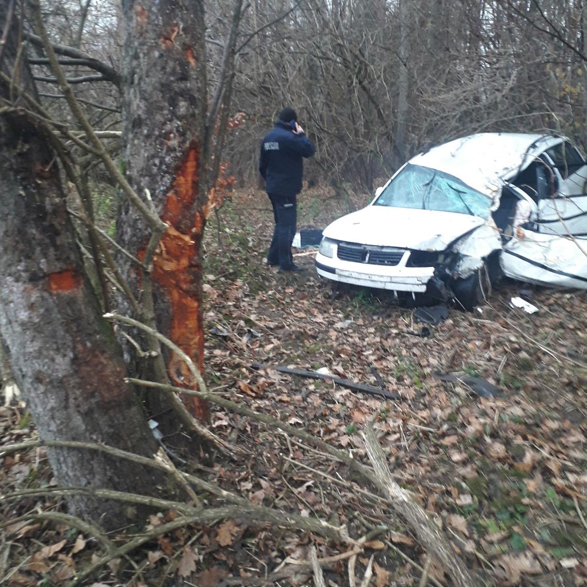 Wypadek w Olszance. Samochód uderzył w drzewo