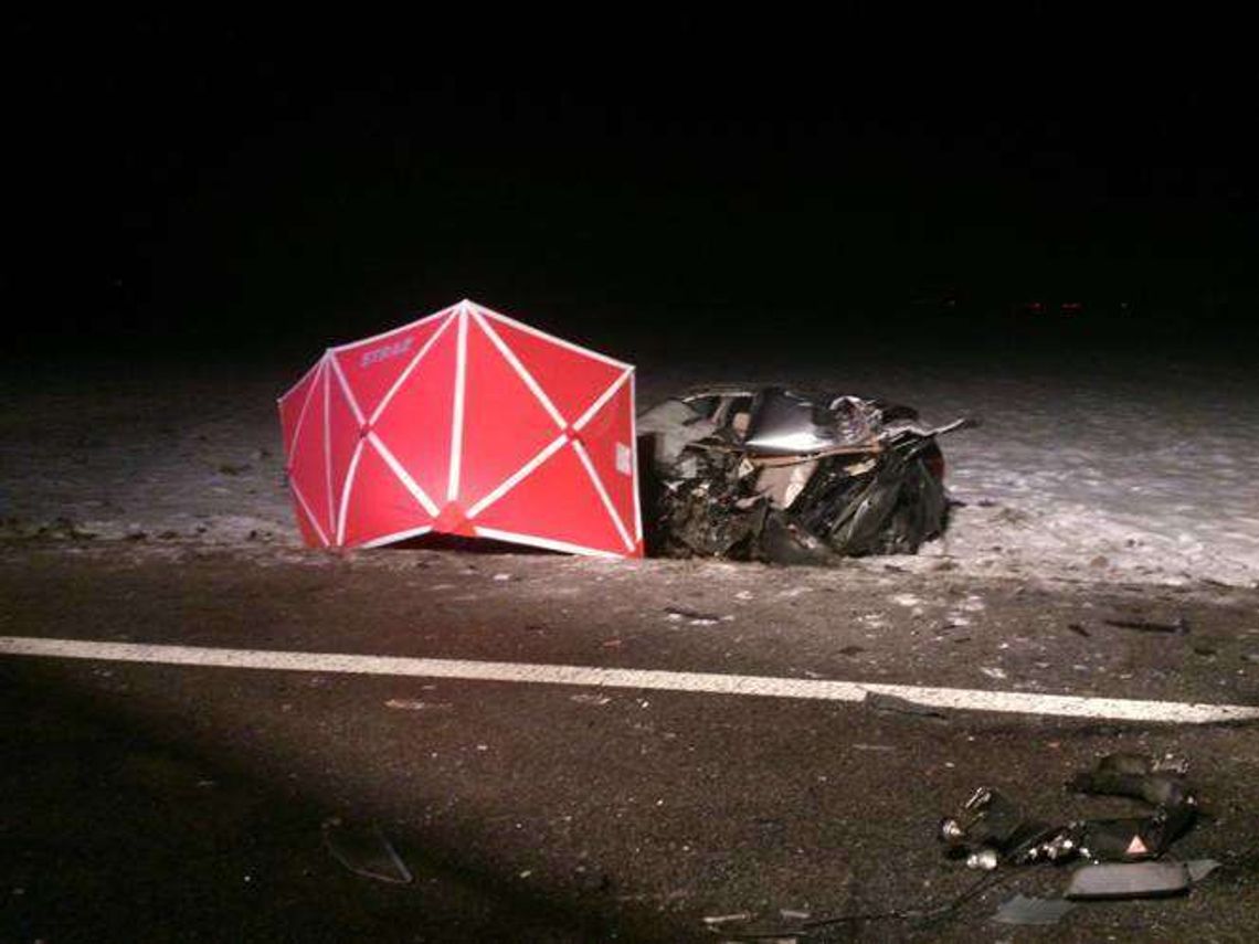 Wypadek w Strzeszkowicach. Kierowca BMW nie żyje (zdjęcia)