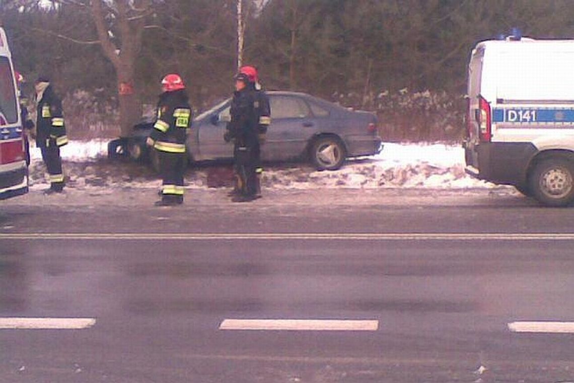 Wypadek w Zalesiu: Honda uderzyła w drzewo
