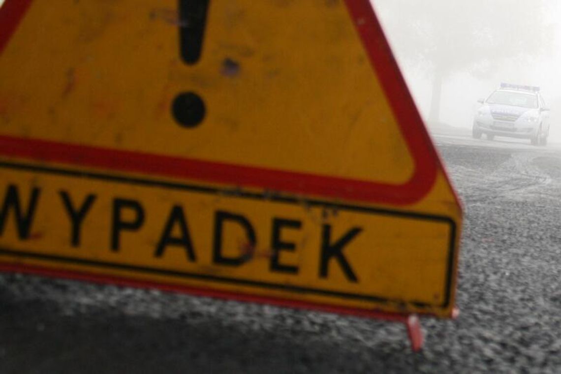 Wypadki w Lublinie i Borkach. Borsuk wyskoczył na drogę Wypadki w Lublinie i Borkach. Borsuk wyskoczył na drogę
