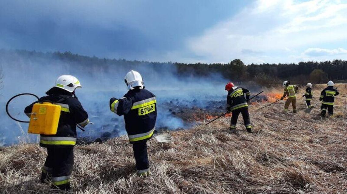 Wypalanie traw może słono kosztować Wypalanie traw może słono kosztować