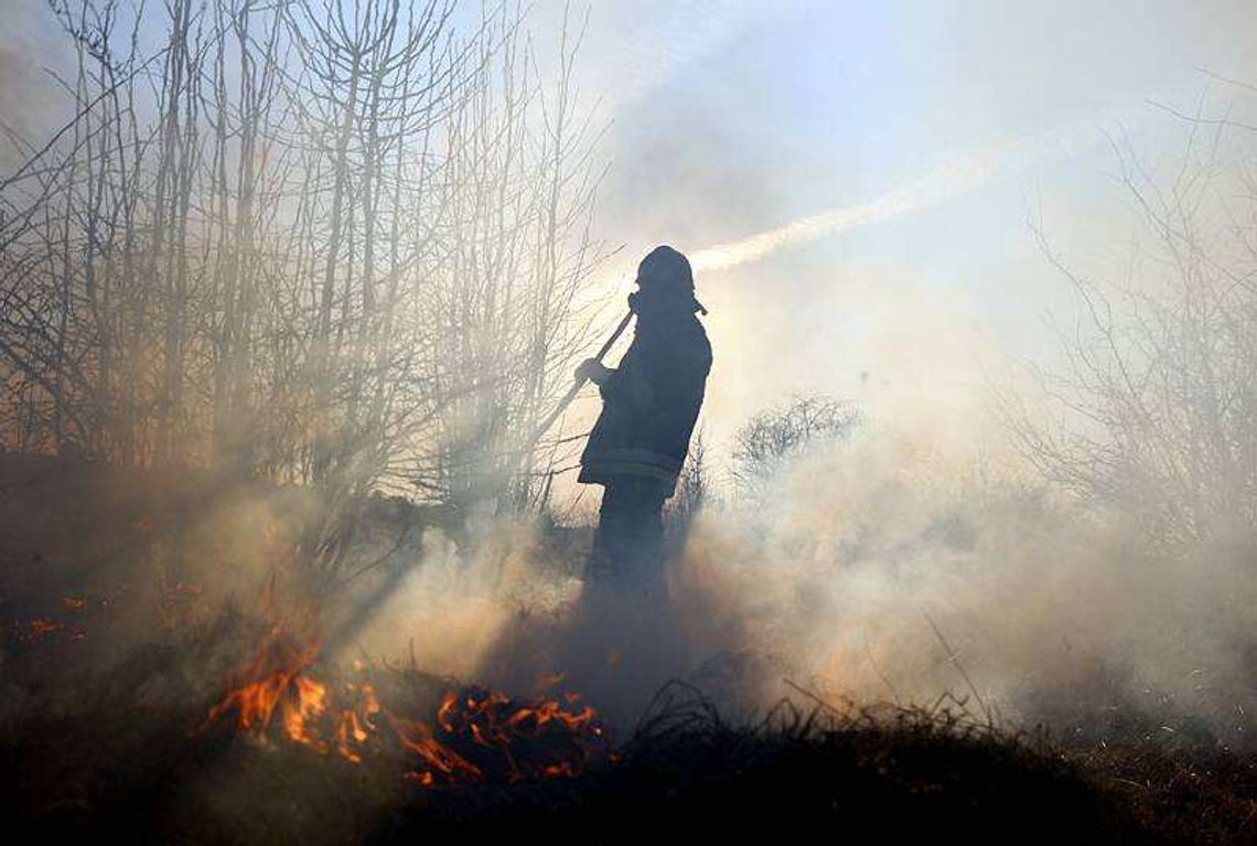 Wypalanie traw szkodzi i można stracić dopłaty