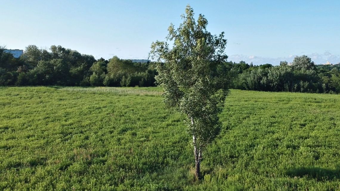 Wyrok na górki czechowskie już w niedzielę, choć badania jeszcze trwają. Rozmowa z Ewą Trzaskowską