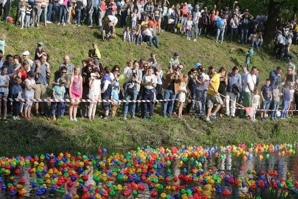 Wyścig Kaczek 2017 w Lublinie. Która kaczka wygrała?