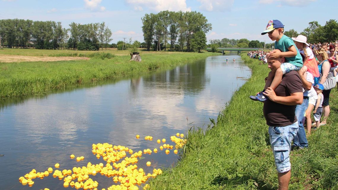 Wyścig kaczek 2018 w Białej Podlaskiej. Gdzie można kupić gumowe zabawki? [LISTA]