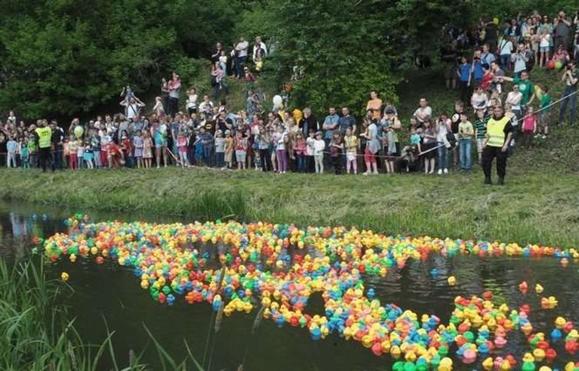 Wyścig kaczek w Lublinie. Będzie kolorowo