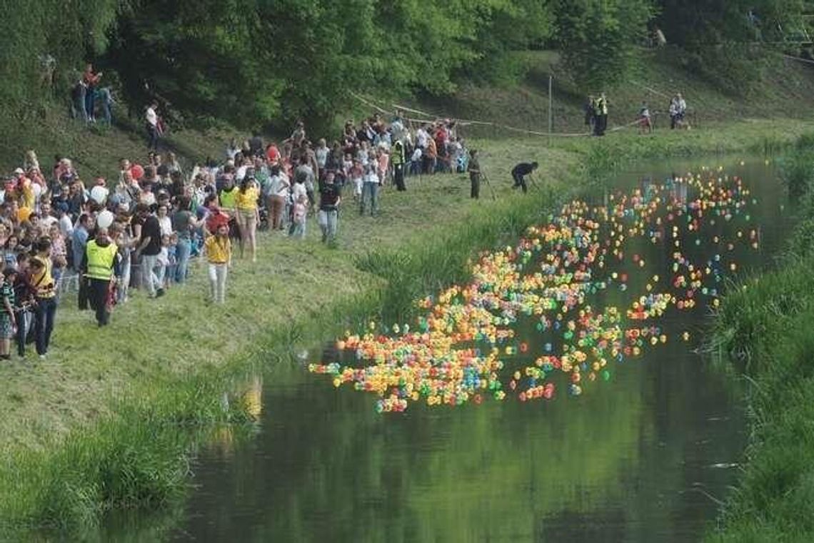 Wyścig kaczek w Lublinie. Nad Bystrzycą było kolorowo (zdjęcia) Wyścig kaczek w Lublinie. Nad Bystrzycą było kolorowo (zdjęcia)