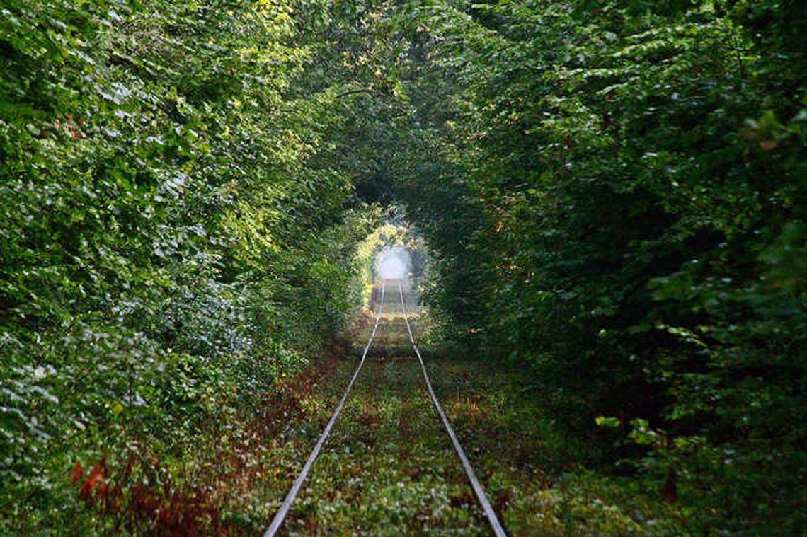 Wyślij zdjęcie, wygraj nagrodę. Trwa nasz konkurs  