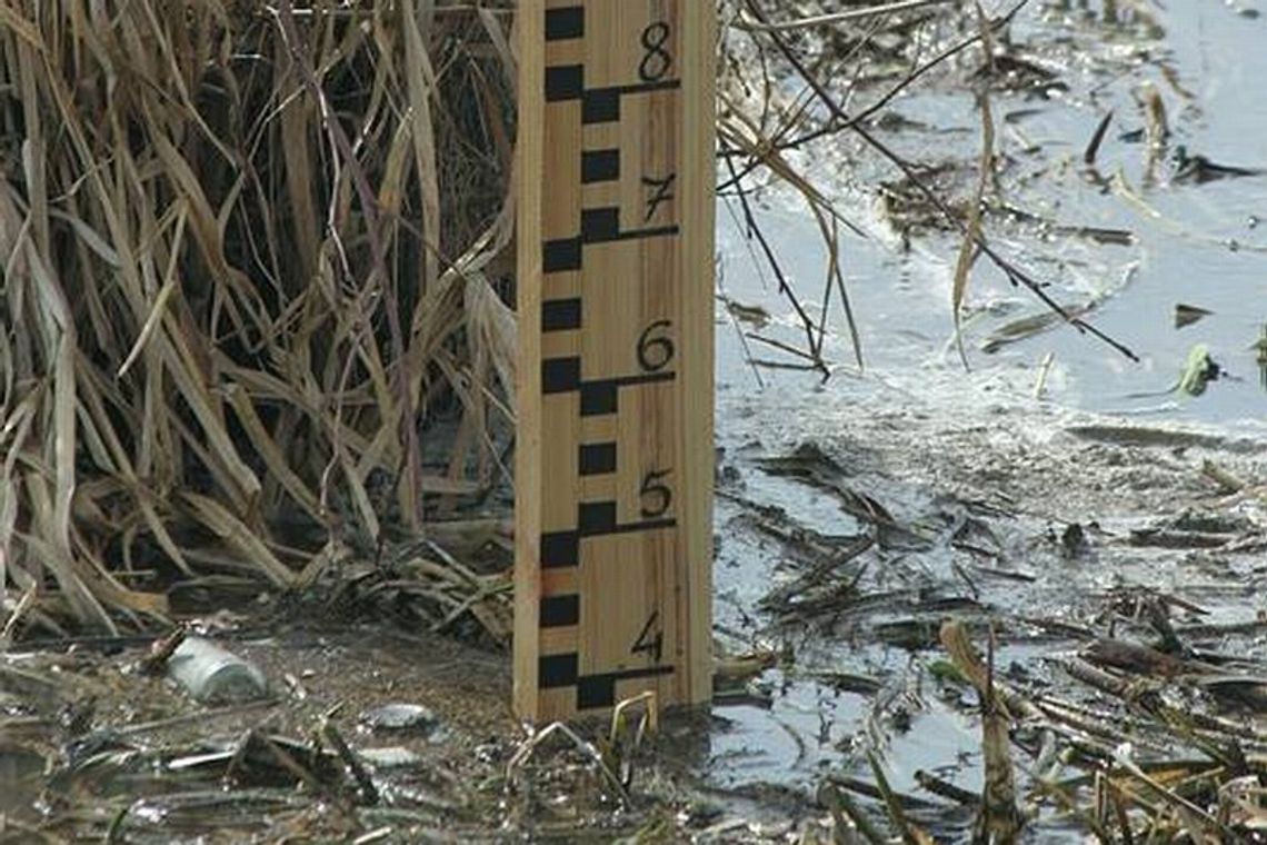 Wysoki stan na Bugu. Ogłoszono pogotowie przeciwpowodziowe Wysoki stan na Bugu. Ogłoszono pogotowie przeciwpowodziowe