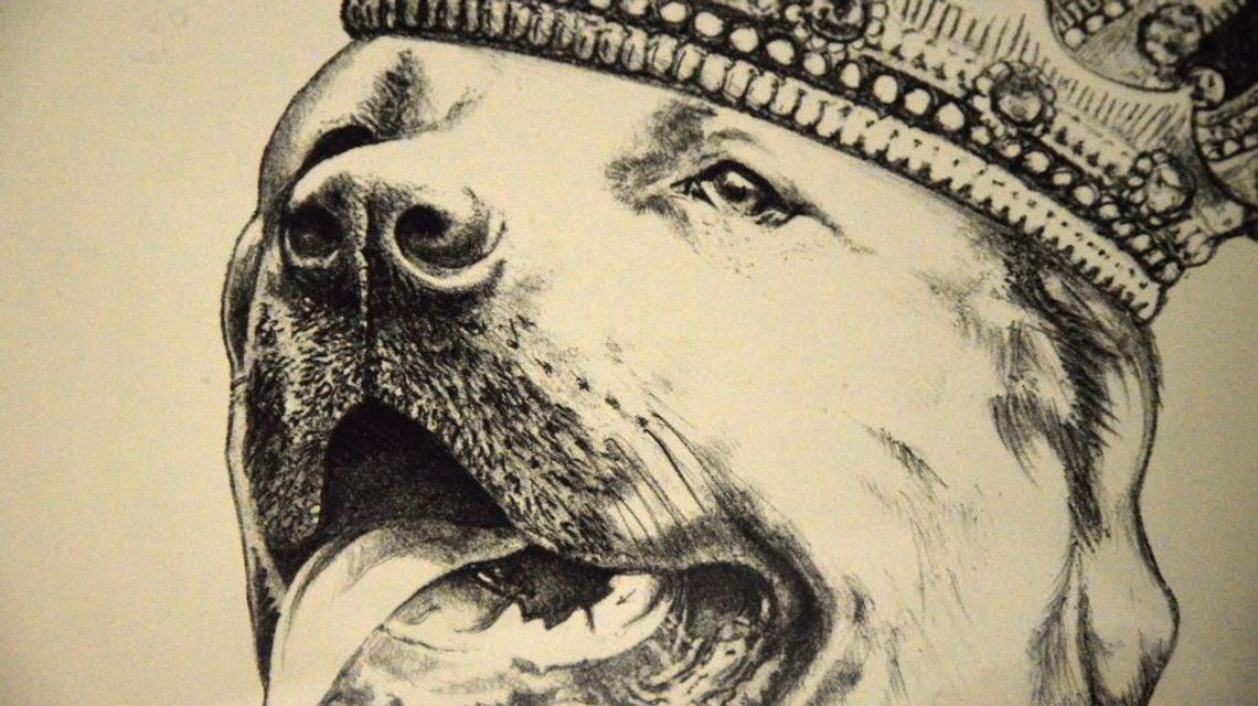 Wystawa Aleksandry Rosochackiej w Creamy Cafe Wystawa Aleksandry Rosochackiej w Creamy Cafe