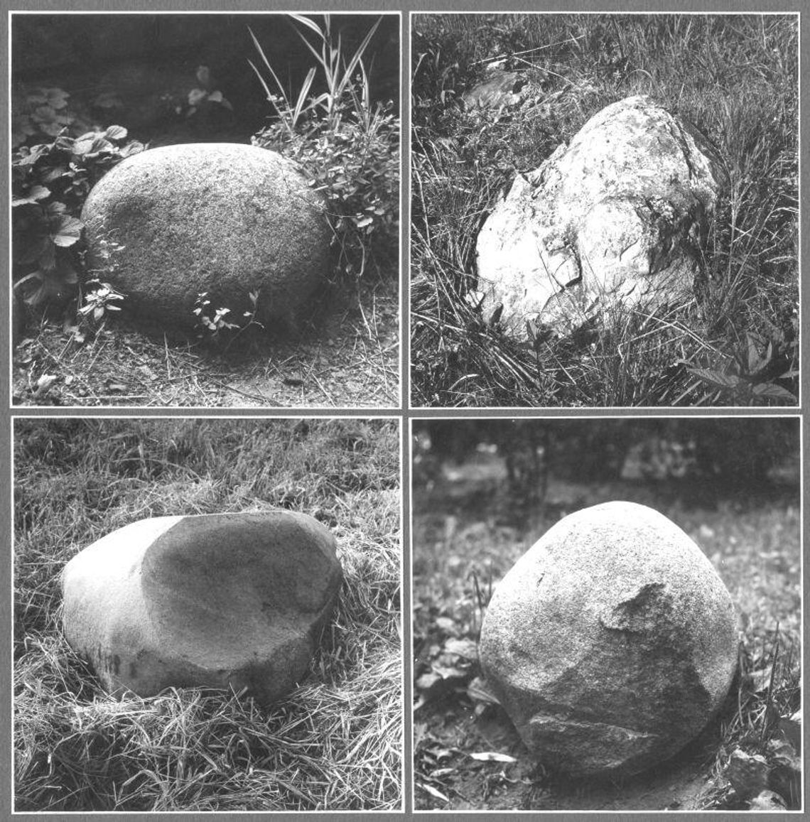 Wystawa fotografii: Lucjan Demidowski