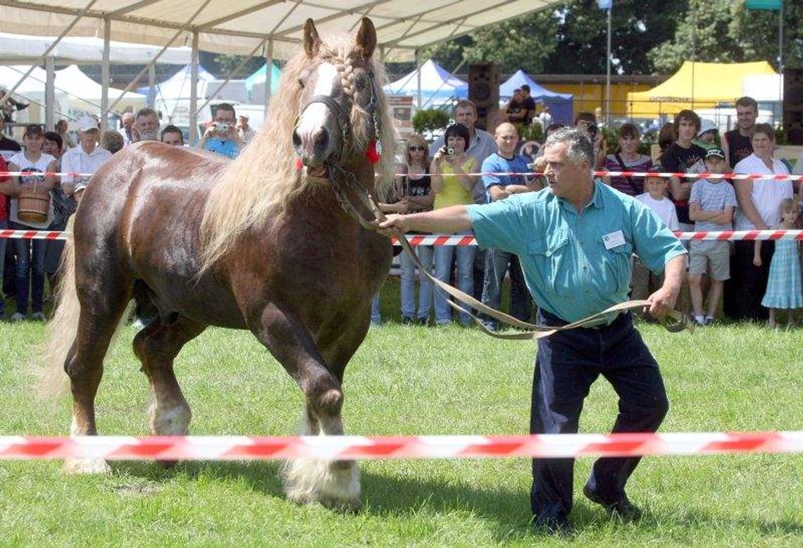 Wystawa i targi rolnicze w Sitnie: Impreza z długą tradycją (program) Wystawa i targi rolnicze w Sitnie: Impreza z długą tradycją (program)