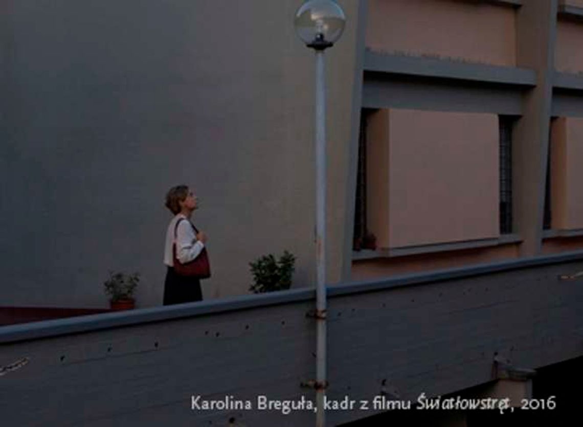 Wystawa Karoliny Breguły "Światłowstręt"