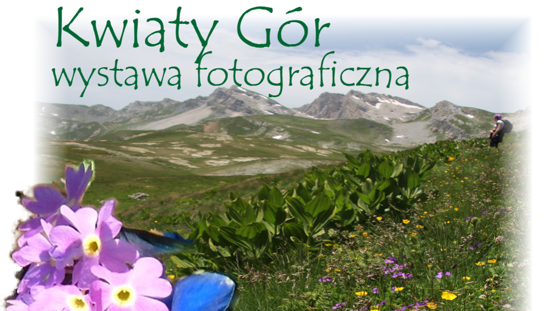 Wystawa "Kwiaty Gór" w Ogrodzie Botanicznym