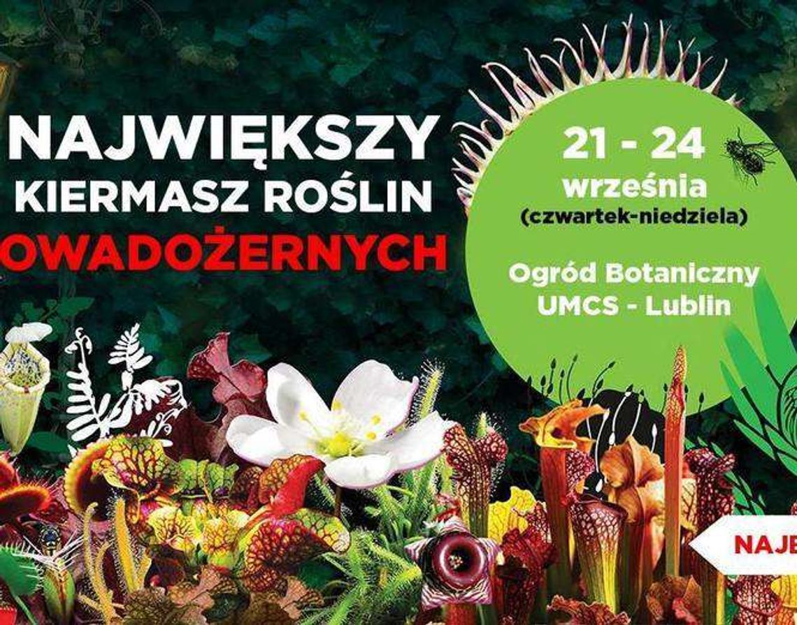 Wystawa "Lublin - inne spojrzenie" i kiermasz roślin Wystawa "Lublin - inne spojrzenie" i kiermasz roślin