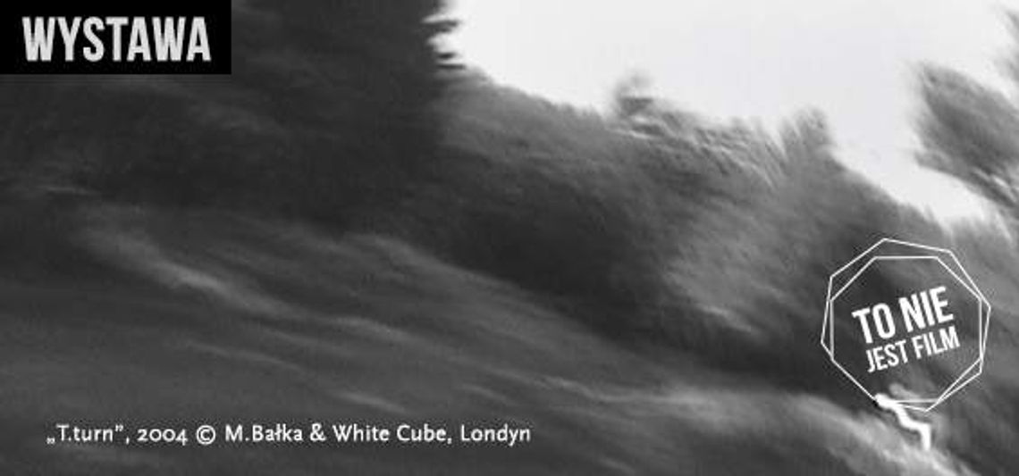 Wystawa Mirosława Bałki Fragment