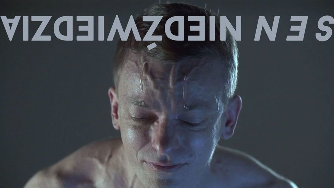 Wystawa "Sen niedźwiedzia" Galerii Labirynt dostępna online