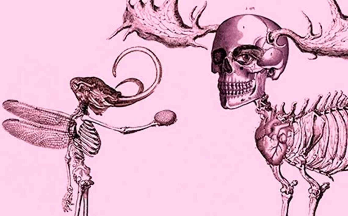 Wystawa "Uporczywe upodobanie" w Galerii Labirynt