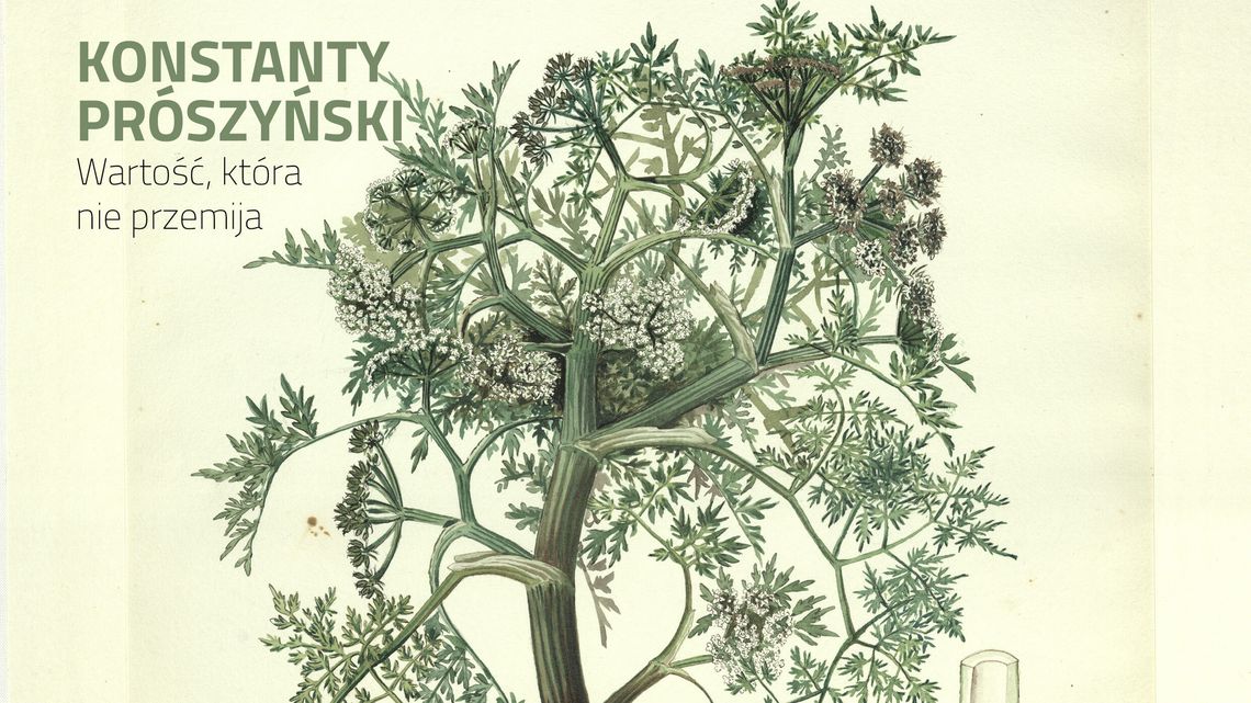 Wystawa "Wartość, która nie przemija" w Galerii Gardzienice Wystawa "Wartość, która nie przemija" w Galerii Gardzienice